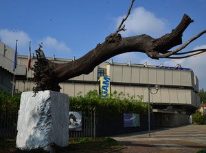 Galleria Civica di Arte Moderna e Contemporanea Torino