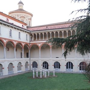 Milano universiteto muziejai