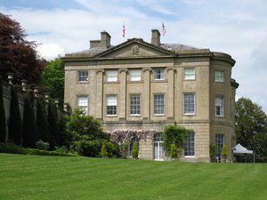 The American Museum
