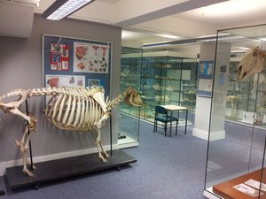 Royal Veterinary College