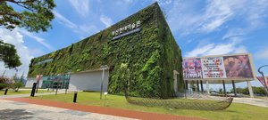 Busan Biennale