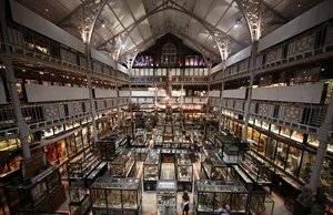 Il Museo Pitt Rivers