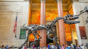 American Museum of Natural History