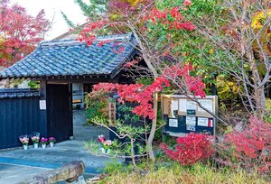 Shimada City Museum