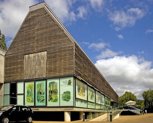River - Rowing Museum