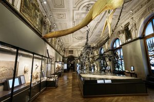 Hofmuseum