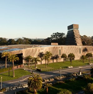 de Young Museum