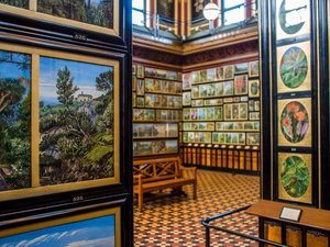 Marianne North Gallery